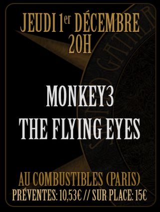 Monkey3 @ Combustibles (Paris), le 01 Décembre 2011
