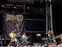 BrutalAssault2011 052