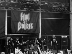 BrutalAssault2011 084