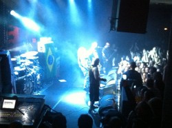 IMG 0591 (1)